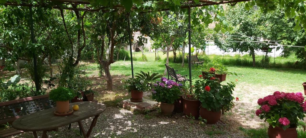 Intos Apartments Agios Nikolaos  المظهر الخارجي الصورة